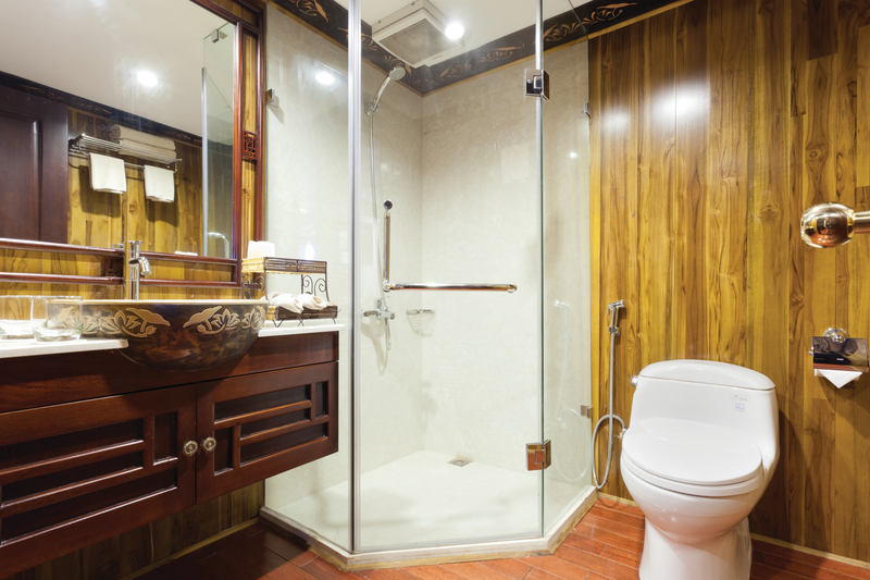 APT Guided Tours & River Cruises RV Apsara Category A or B bathroom.png