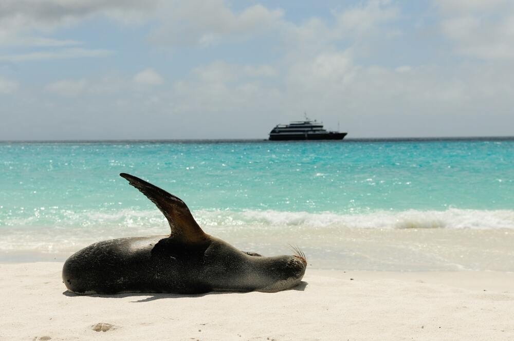 Baltra Island, Galápagos