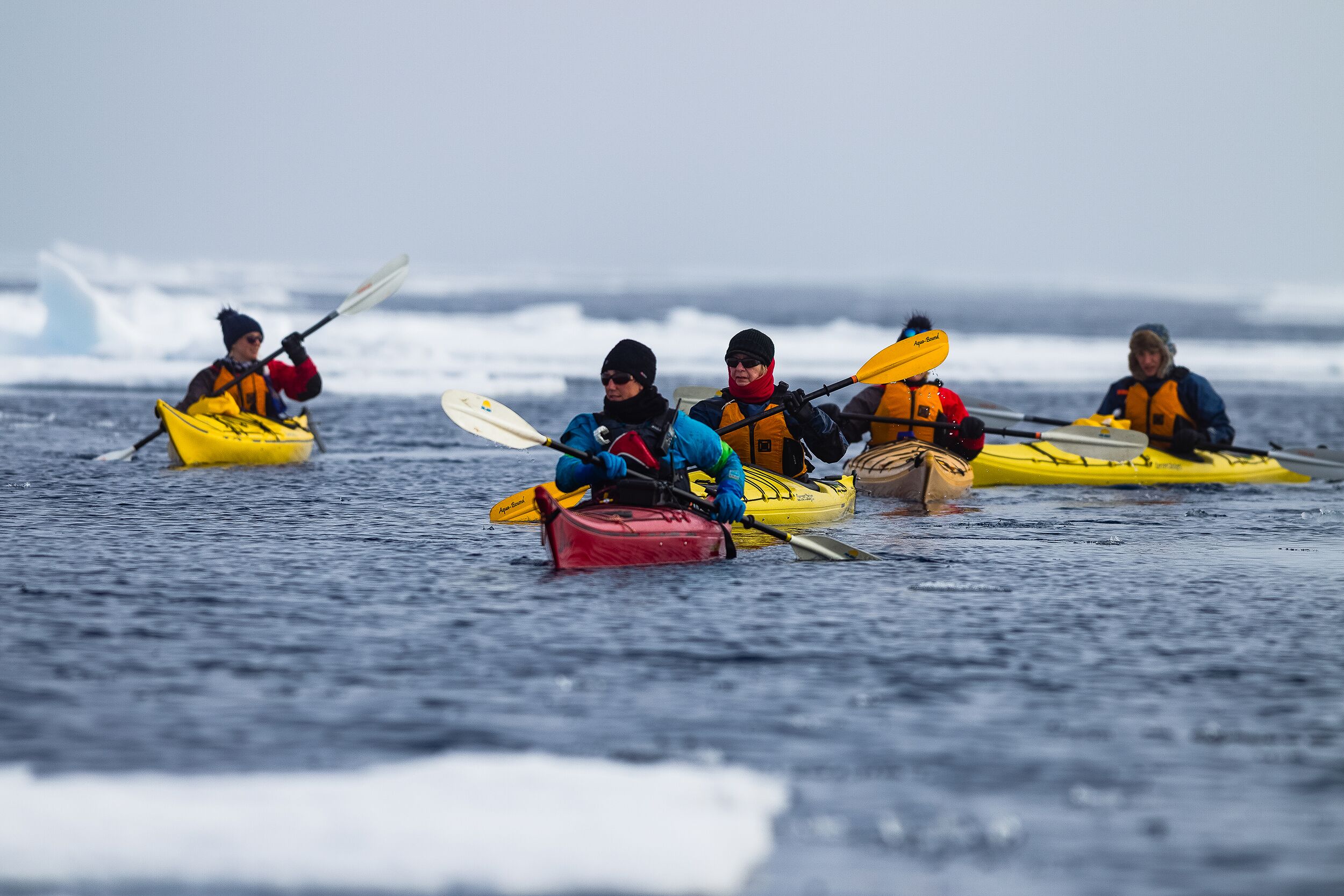 Quark Expeditions Ultramarine Excursions 3.jpeg