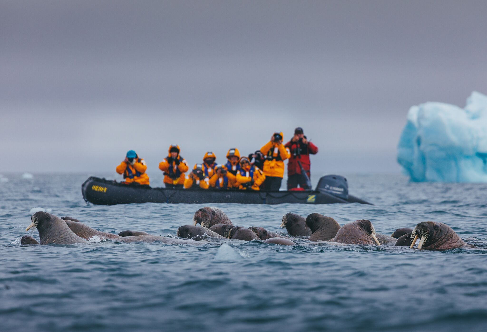 Quark Expeditions Ultramarine Excursions 1.jpeg