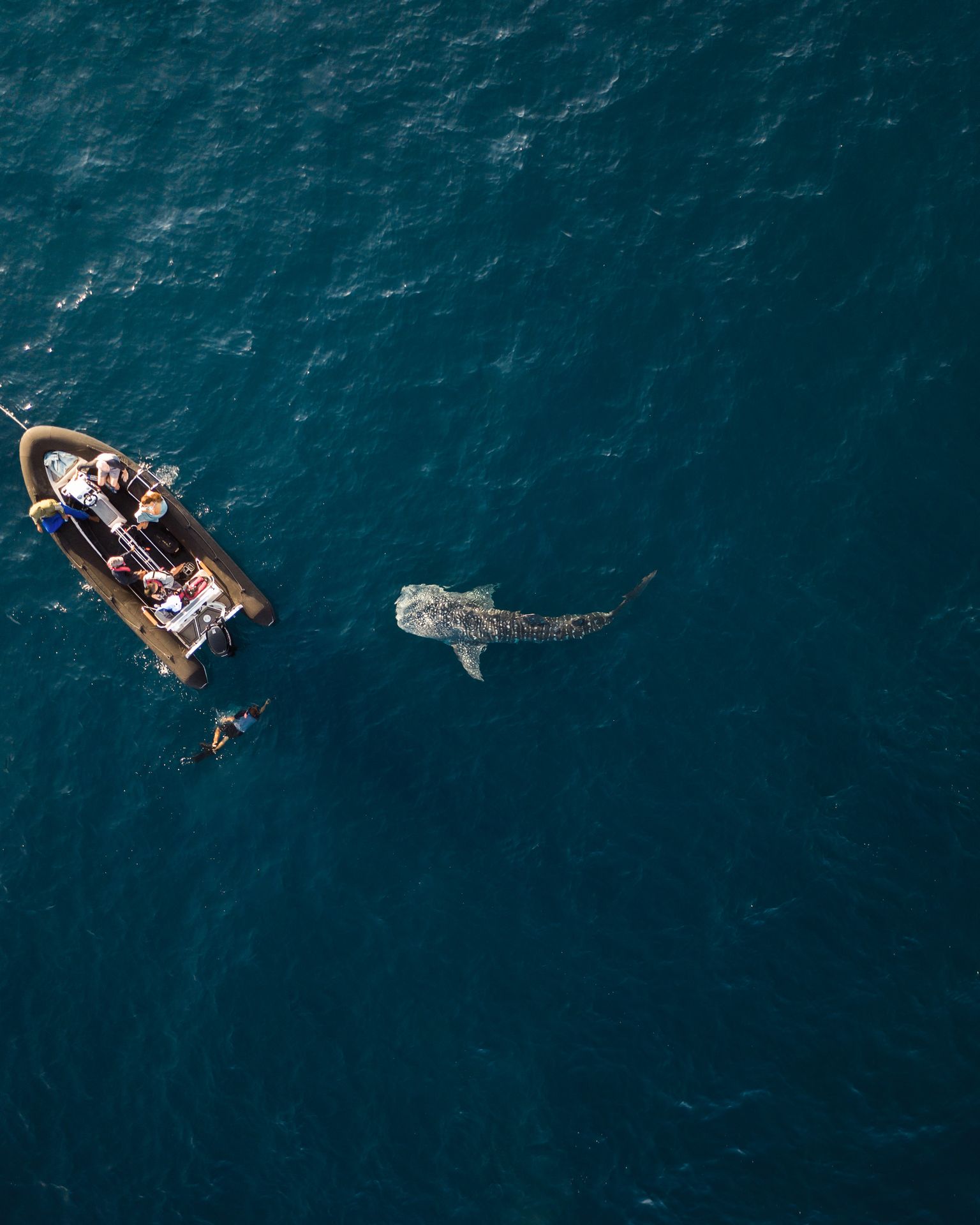 Aqua Blue - Excursions.jpeg