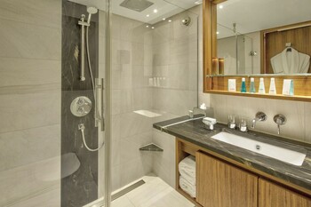 Category AA Stateroom