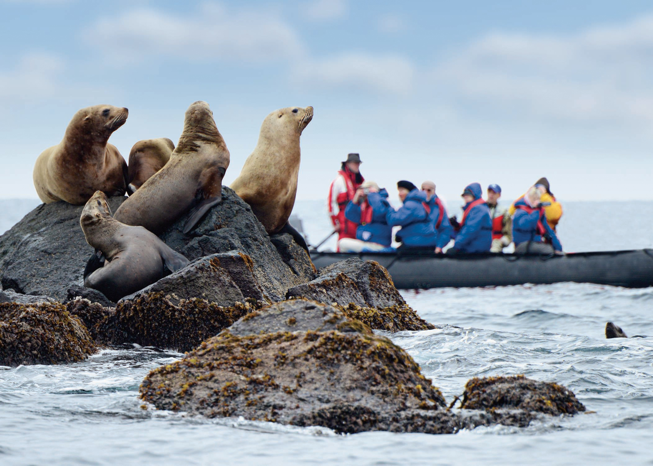 Hapag Lloyd Cruises Hanseatic Nature Zodiac Expedition.jpg