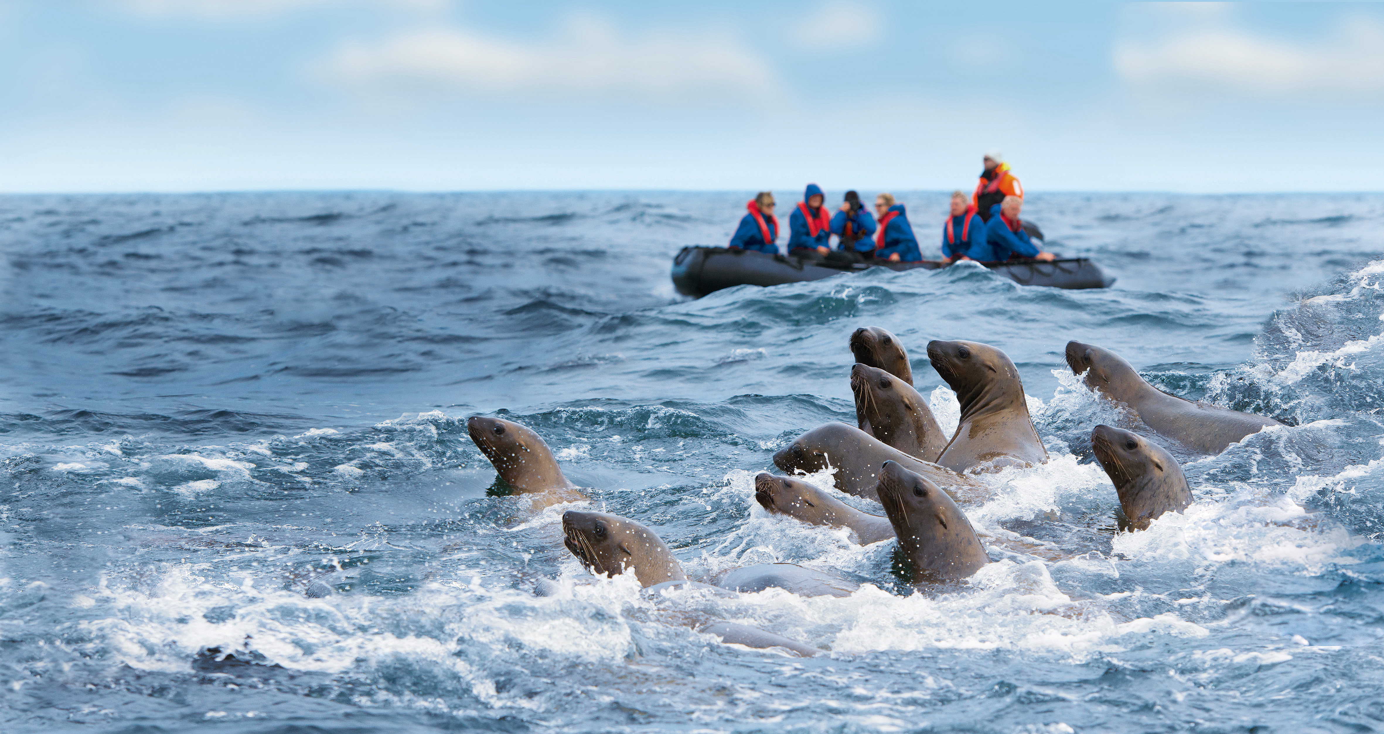 Hapag Lloyd - Hanseatic Expediton Ships - Nature Wildlife Zodiacs Expeditions Excursions _4_.jpg