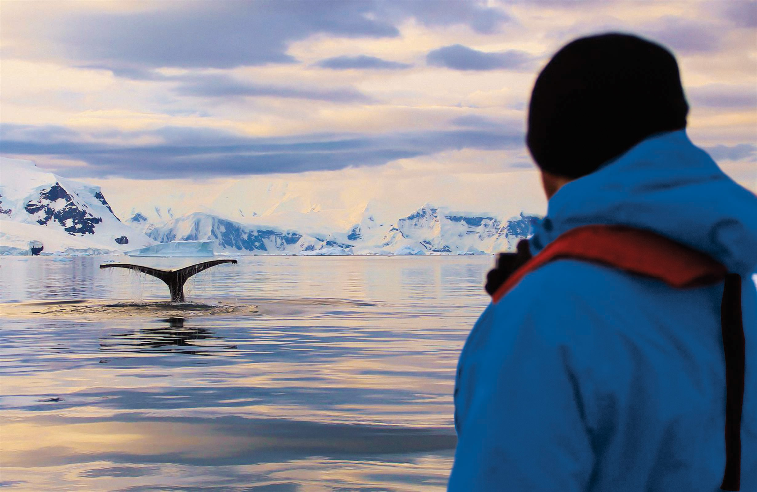 Hapag Lloyd Cruises - Hanseatic Expedition Ships - Nature Wildlife Excursions Expeditions Zodiacs _1_.jpg