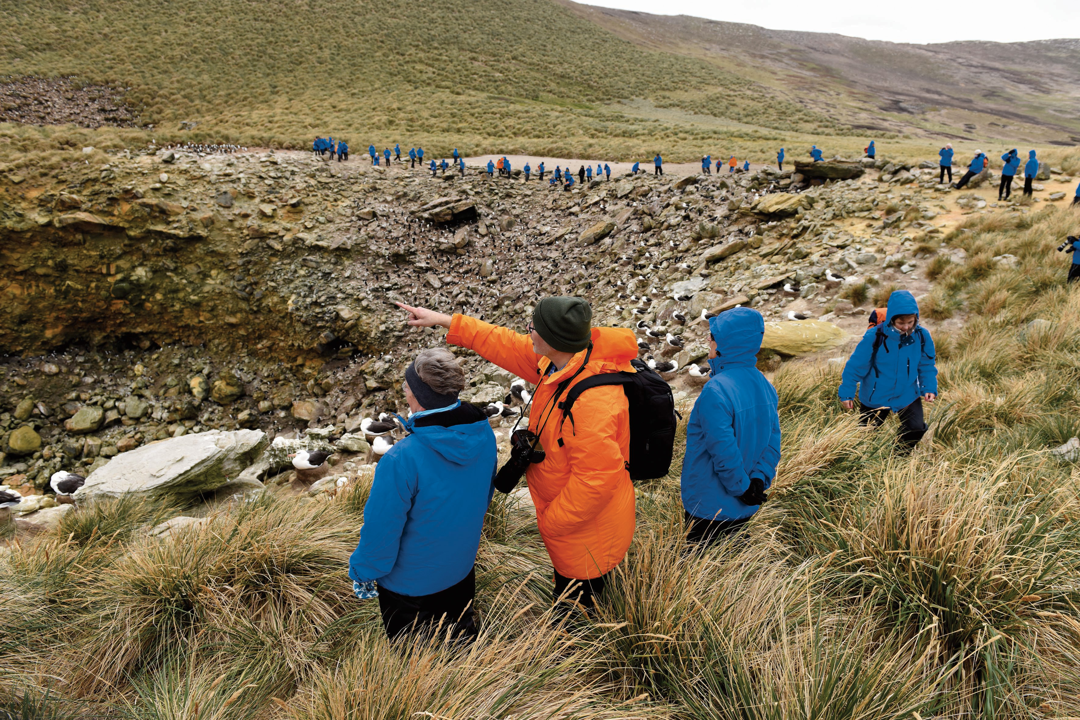 Hapag Lloyd Cruises - Hanseatic Expedition Ships - Nature Wildlife Excursions Expeditions Zodiacs _3_.jpg