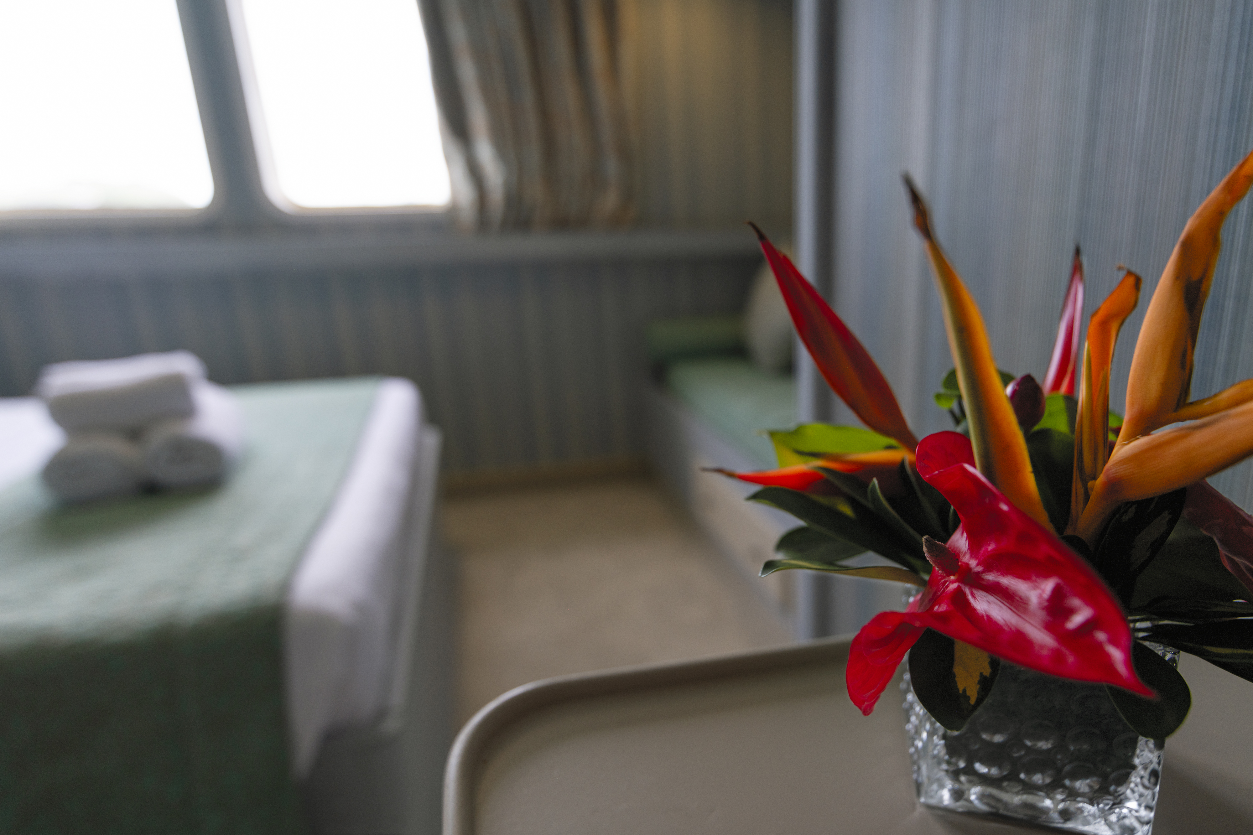 Variety Cruises Pegasos Cat P Cabin.jpg
