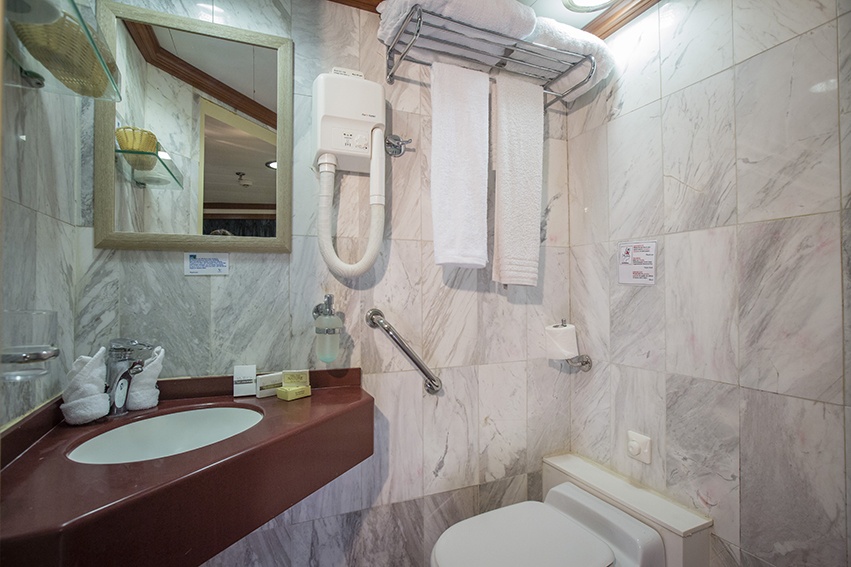 Variety Cruises Galileo Cat B and C Bathroom.jpg
