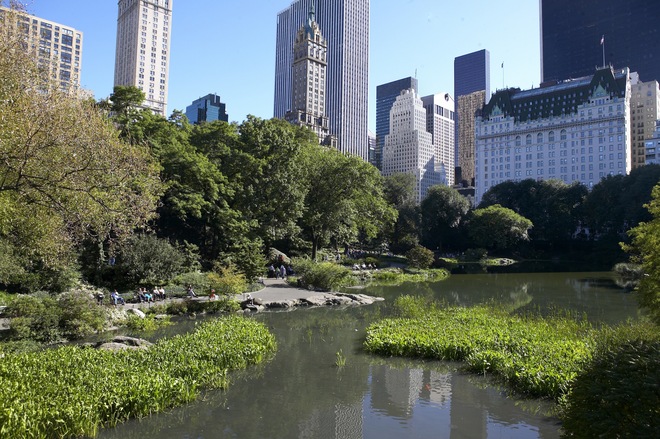 From Québec to the Big Apple: nature & remarkable cities
