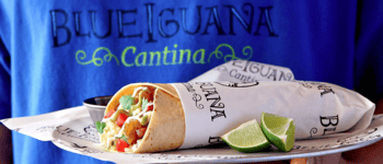 Bluelguana Cantina