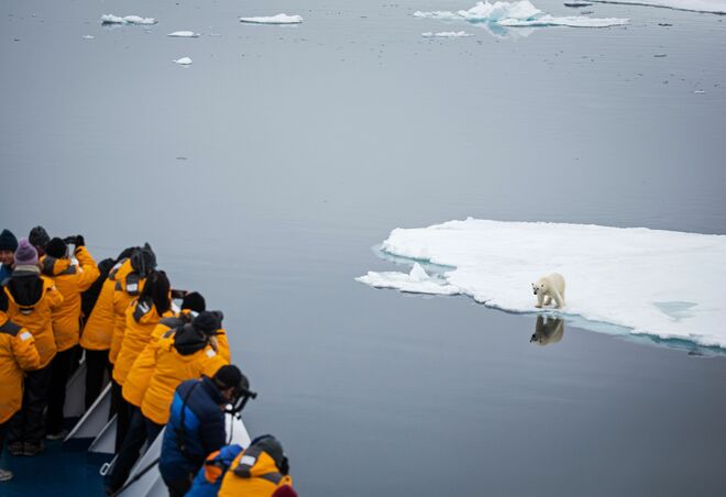 Zodiac Cruising