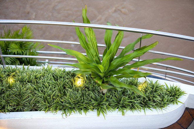 Pool Deck