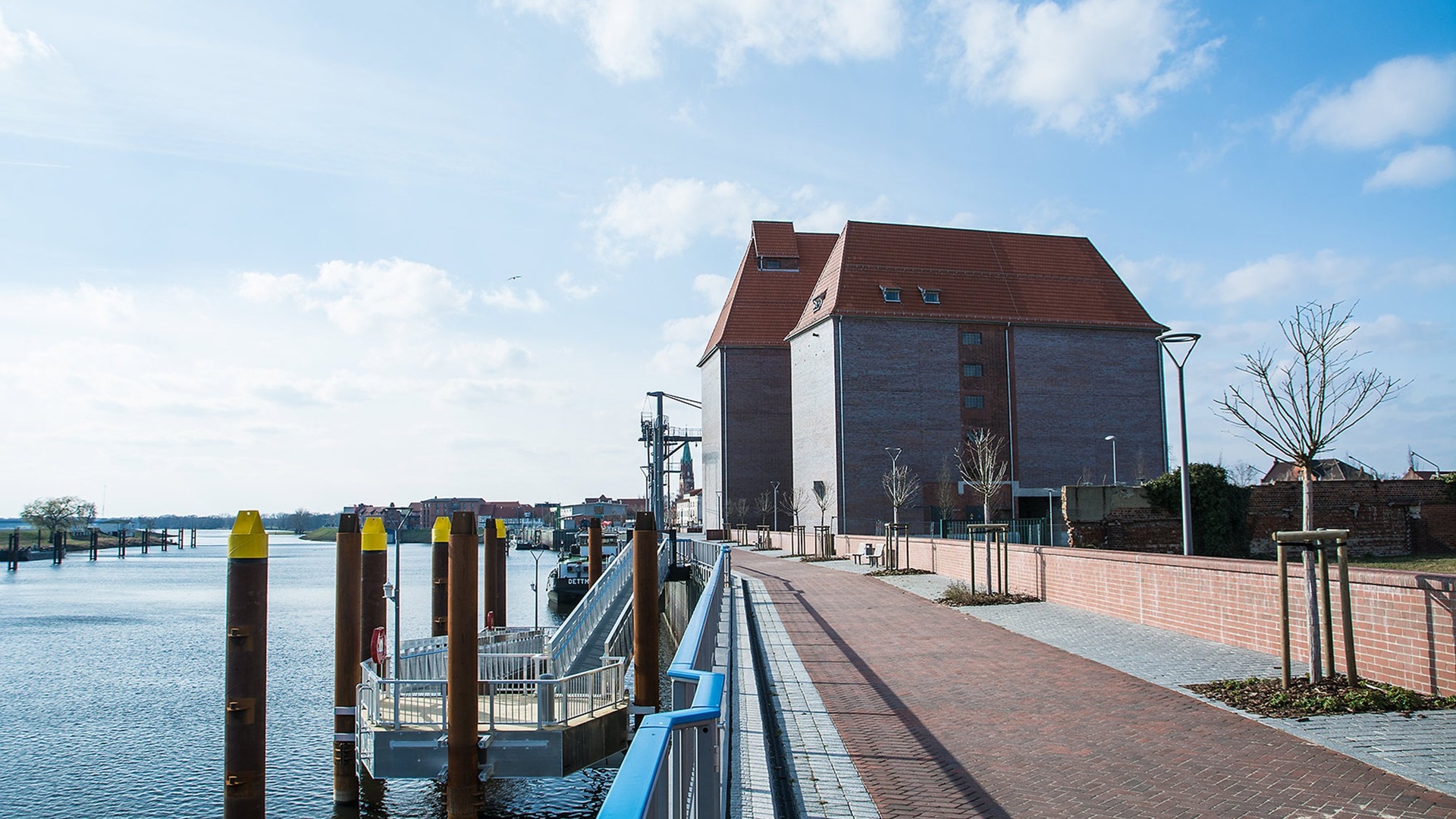 Cruise Image 9