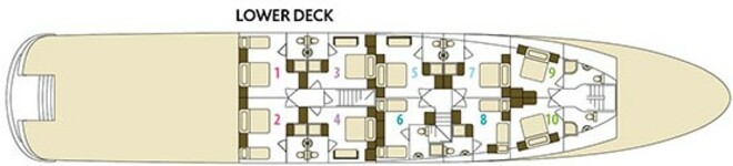 Lower Deck