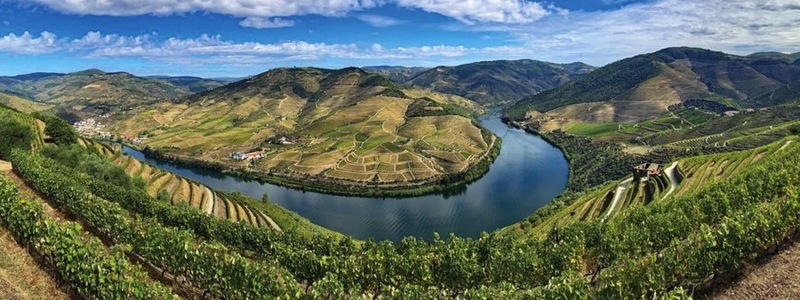 Vida Portugal: Vineyards & Villages Along the Douro
