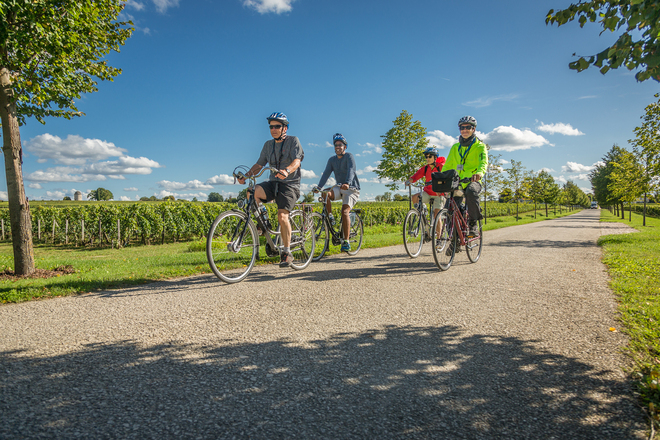 Included Biking Excursions