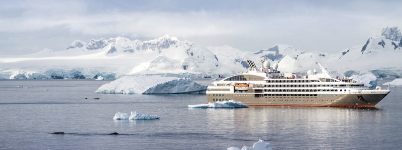 Emblematic Antarctica