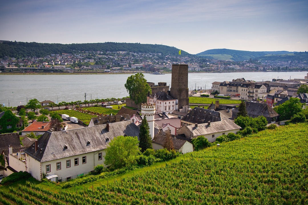 Rudesheim Overlooking the River