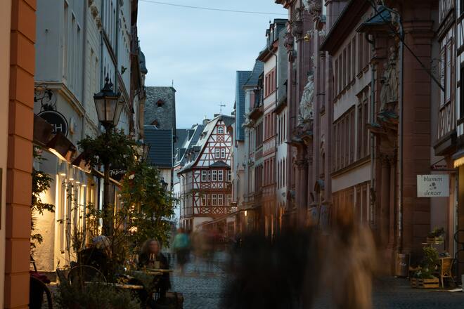 Rhine, Strasbourg and Heidelberg River Cruise for Solo Travellers