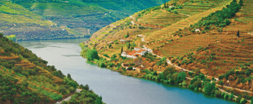 APT Guided Tours & River Cruises