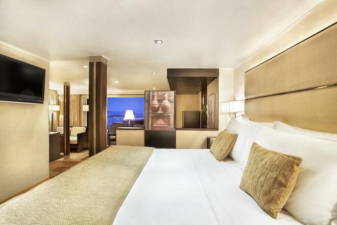 Category D - Luxury Suite | Deck D