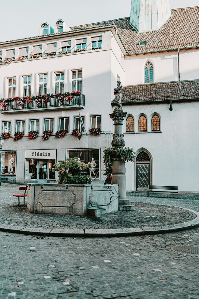 Switzerland & Rhine Castles & Moselle Vinyards with Amsterdam