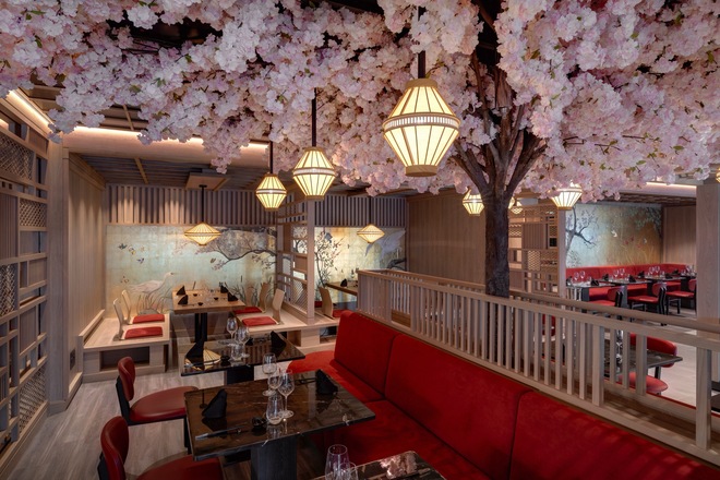 Sakura