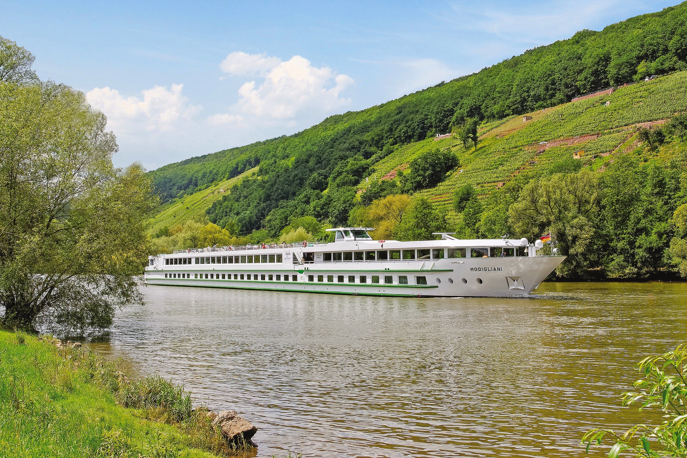 The Rhine in celebration (Port-Port)