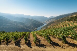Vega de Terron, Portugal