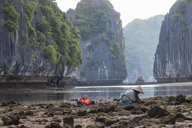 Indochina Explorer and Luxury Mekong Cruise