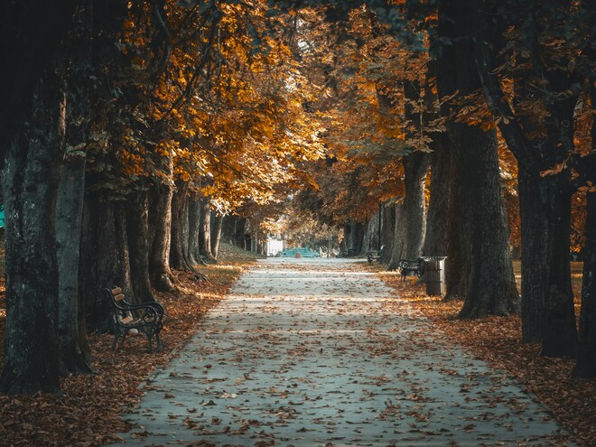 Passage to Eastern Europe