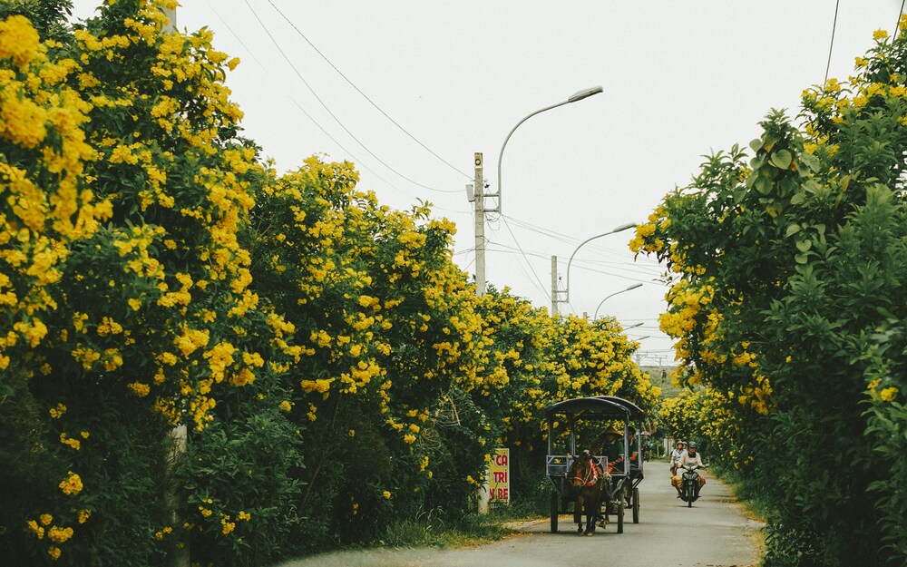Ben Tre
