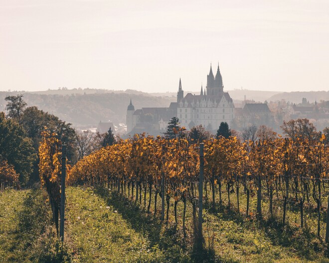 Elegant Elbe