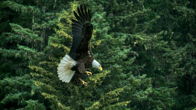 Alaskan Fjords & the Inside Passage
