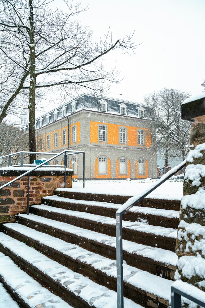 Enchanting Rhine and Yuletide Markets River Cruise