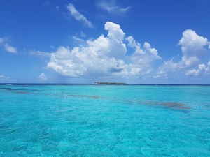Union Island