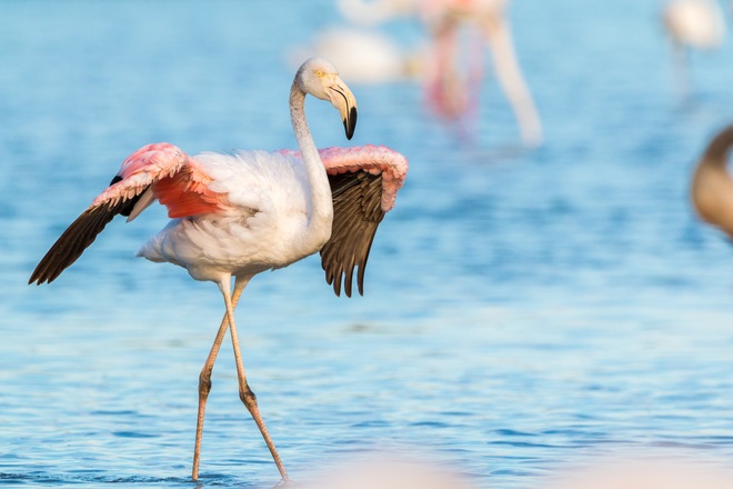 Galápagos Islands - Nine of the Best Isles