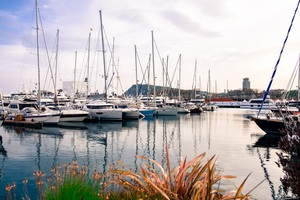 Port-Saint-Louis-du-Rhône