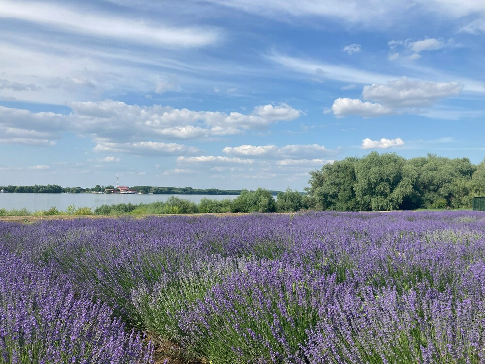 Silistra
