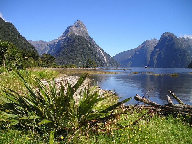 Unseen Fiordland & Stewart Island