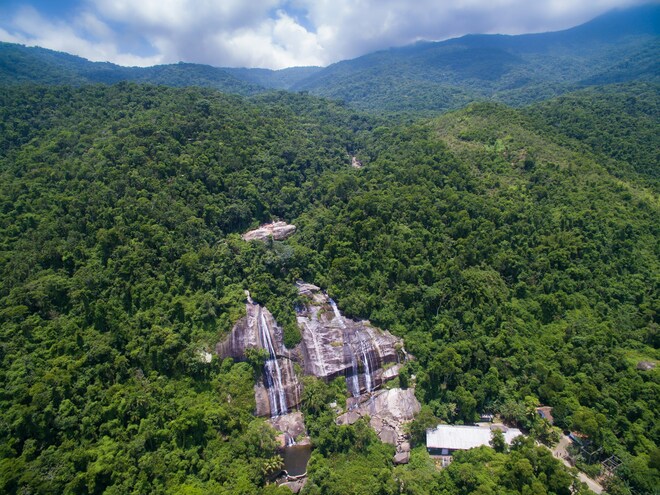 A Journey through Golden Shores, Rainforests & Tango