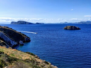 Hydra