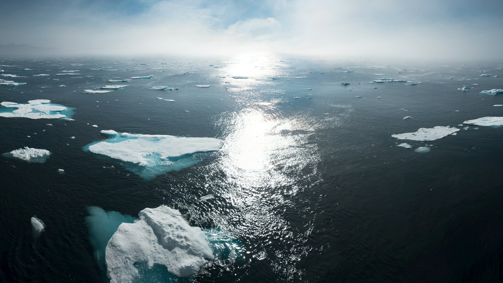 Cruise Image 1