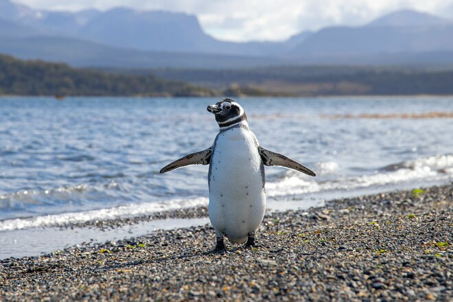 Patagonia & the Chilean Fjords