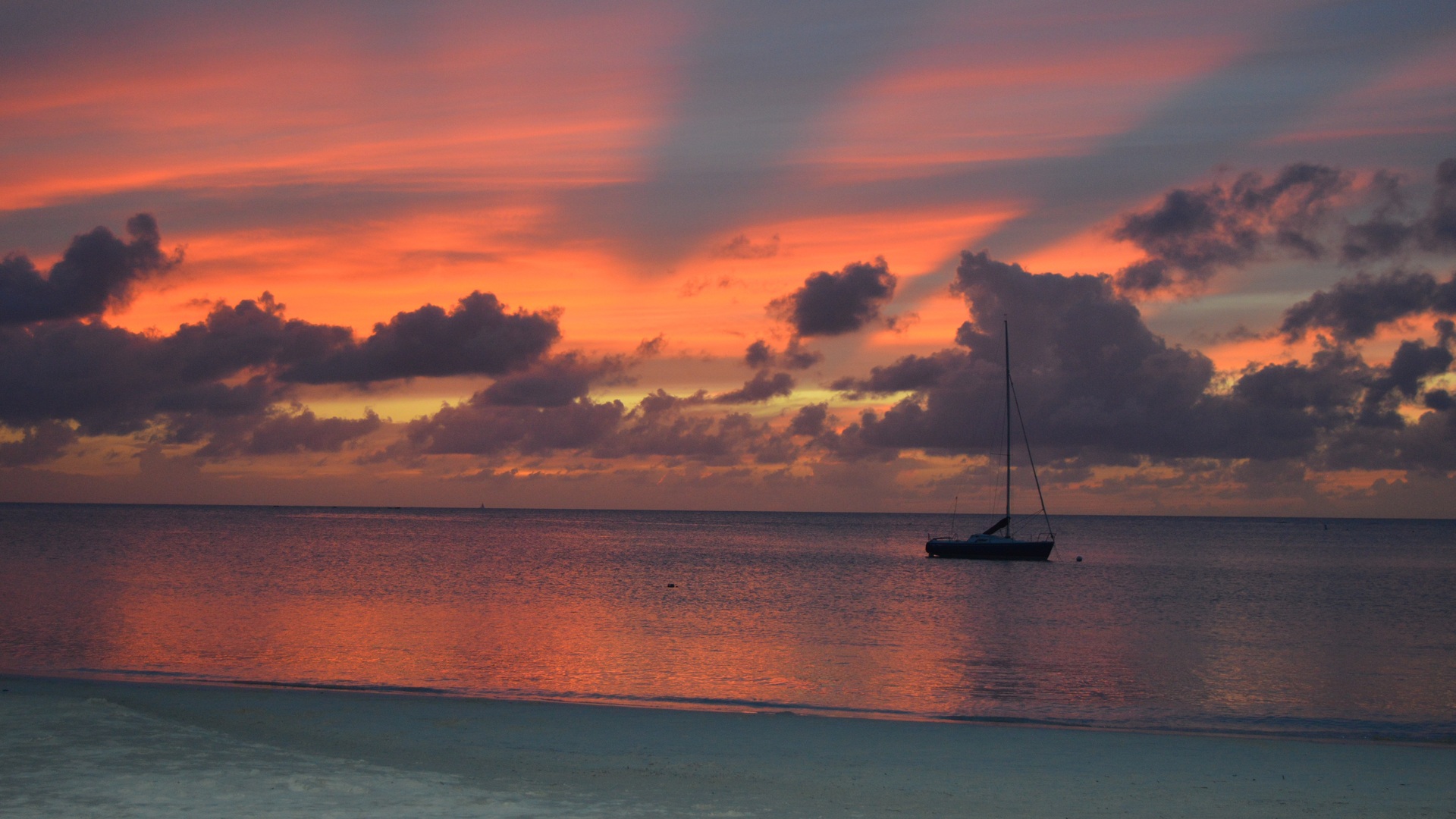 Cruise Image 6