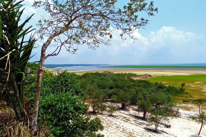 30-Day Amazon Explorer: Rivers & Rainforests