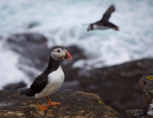 South Orkney Islands