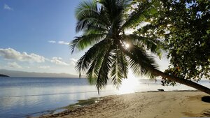 Savusavu