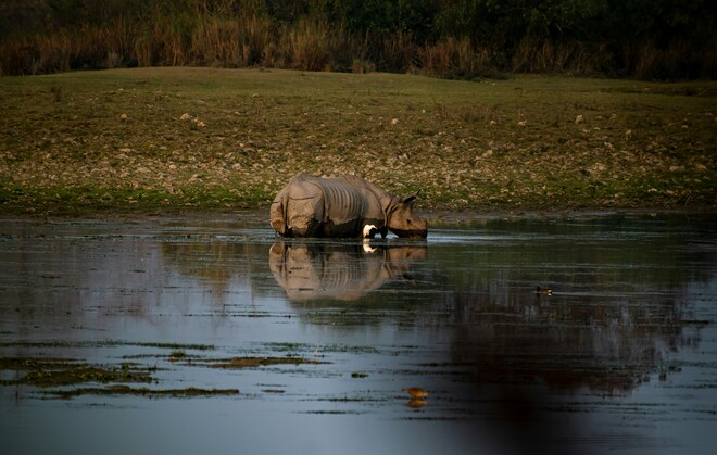Wonders of India II