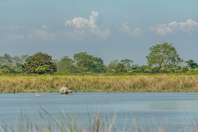 The Full Brahmaputra